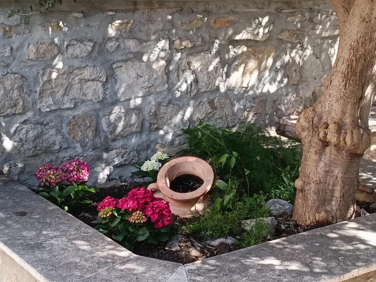 Diocletian Garden Centar Split Exterior foto